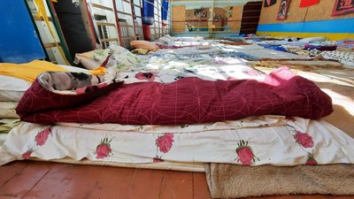 Місця для ночівлі переселенців у шкільному спортзалі Місця для ночівлі переселенців у шкільному спортзалі