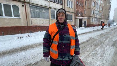 Двірнички Двірнички