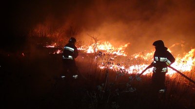 Пожежа на базі відпочинку в Одеській області: травмованих немає