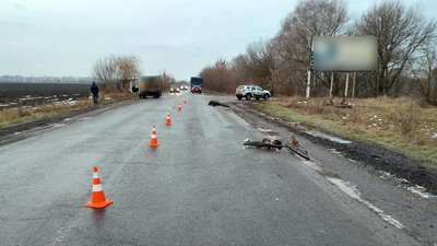 На Полтавщині у Миргородській громаді в аварії загинув велосипедист