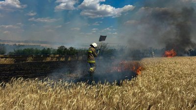 Через обстріли горіла пшениця на Миколаївщині