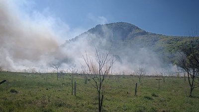 На Закарпатті 2 травня прогнозується надзвичайна пожежна небезпека