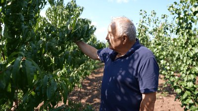 Садівник Валерій Сирбул, грант від проєкту BLOOM