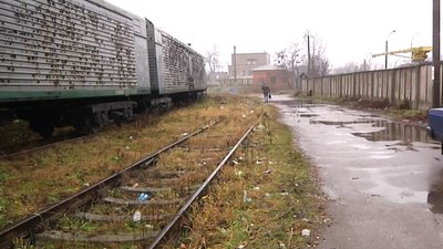У Житомирі перехожі врятували козуленя – знесилена тварина пішла за людьми до торгового центру У Житомирі перехожі врятували козуленя – знесилена тварина пішла за людьми до торгового центру