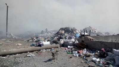 У Кропивницькому горить сміттєзвалище