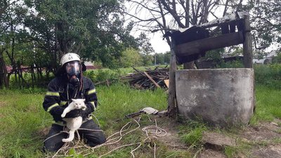 На Дніпропетровщині рятувальники діставали кота із колодязя На Дніпропетровщині рятувальники діставали кота із колодязя