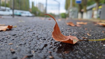 Осінній листок