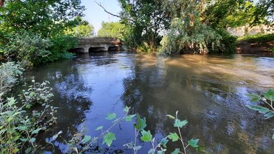 Велика вода на Одещині: рівень річок Дністер та Турунчук продовжує підвищуватися