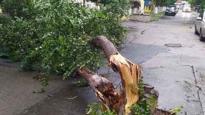 На Миколаївщині рятувальники допомагають ліквідовувати наслідки негоди На Миколаївщині рятувальники допомагають ліквідовувати наслідки негоди