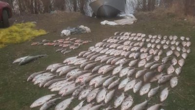 Правоохоронці Хмельниччини впіймали браконьєрів, які "наловили" на 1,7 мільйона гривень