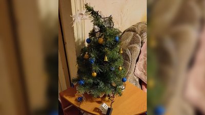 Як виглядають ялинки мешканців Сумщини за 30 км від кордону з РФ Як виглядають ялинки мешканців Сумщини за 30 км від кордону з РФ