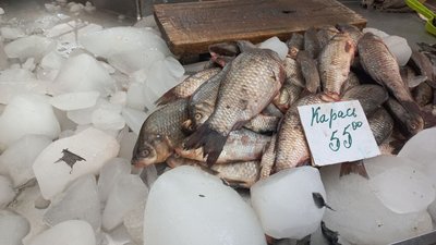 На полтавському ринку поменшало продавців риби після підриву Каховської ГЕС На полтавському ринку поменшало продавців риби після підриву Каховської ГЕС