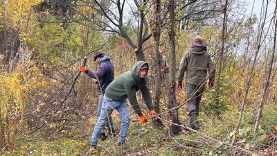 толока, природа, довкілля, зона для відповічинку, ставок, вода, ветерани