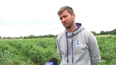 Вирощує 13 тисяч кущів лохини на чотирьох гектарах. Ярослав Мовчун. СУСПІЛЬНЕ | ЛЮДИ
