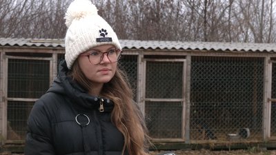День волонтера: рівняни завезли допомогу в притулок для котів і собак День волонтера: рівняни завезли допомогу в притулок для котів і собак