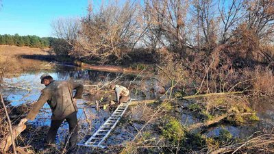Замість чагарників та смітників: у громаді на Житомирщині двоє киян створили парк Замість чагарників та смітників: у громаді на Житомирщині двоє киян створили парк