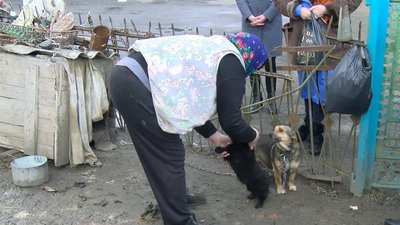 В селі на Волині, де біля школи виявили скаженого пса, почали вакцинувати усіх тварин В селі на Волині, де біля школи виявили скаженого пса, почали вакцинувати усіх тварин