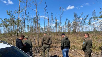 "Це жах": як комісія обстежує вирубки у нічийному лісі на Рівненщині