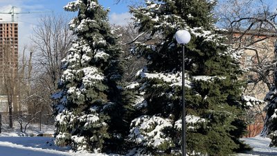 Сніг, погода, Дніпро