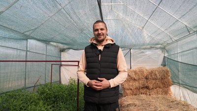 Як ветеран розвиває квітковий бізнес у прикордонному Путивлі | ВІДЕОНОВИНИ