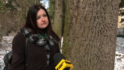 Столітні дуби та горіхові дерева. Історія ботсаду Лісотехнічного університету
