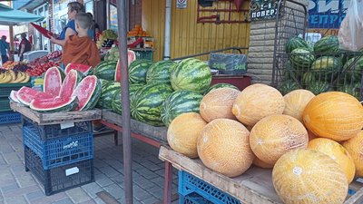 Кавуни і дині на ринках Житомира: звідки їх везуть та яка вартість Кавуни і дині на ринках Житомира: звідки їх везуть та яка вартість