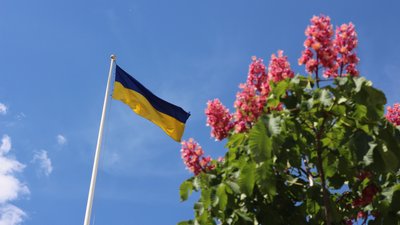 Прапор України майоріє поруч із квітучим рожевим каштаном