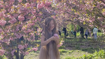 У Дніпрі розквітла алея сакур – фоторепортаж