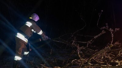Аварії та повалені дерева: на Миколаївщині ліквідовують наслідки негоди Аварії та повалені дерева: на Миколаївщині ліквідовують наслідки негоди