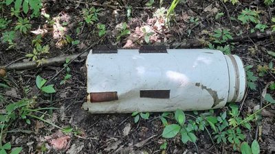 Уламки ракети та пошкоджені дерева виявили у лісовому масиві Романівської громади на Житомирщині Уламки ракети та пошкоджені дерева виявили у лісовому масиві Романівської громади на Житомирщині