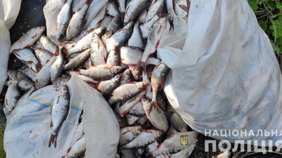 На Полтавщині у рибалки вилучили вилов на понад 1,7 мільйона гривень