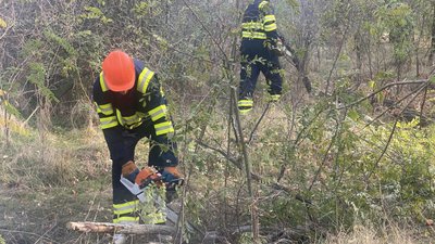 Фахівці спилюють дерева Фахівці спилюють дерева