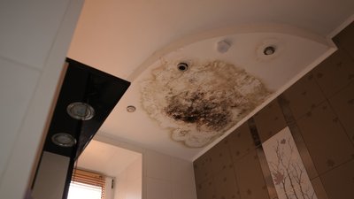 Виносить воду відрами з 4-го поверху: у Полтаві роками не ремонтують покрівлю будинку на Шведській Виносить воду відрами з 4-го поверху: у Полтаві роками не ремонтують покрівлю будинку на Шведській