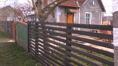Вбивство собаки на Прикарпатті: що кажуть власник пса, зоозахисники та поліцейські Вбивство собаки на Прикарпатті: що кажуть власник пса, зоозахисники та поліцейські