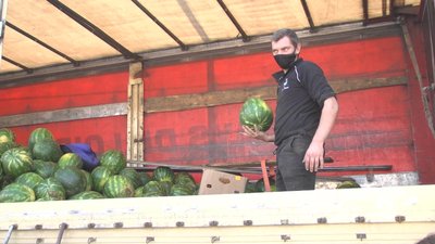 З одної машини на лабораторну пробу відбирають два кавуни на перевірку. Фото: Суспільне З одної машини на лабораторну пробу відбирають два кавуни на перевірку. Фото: Суспільне