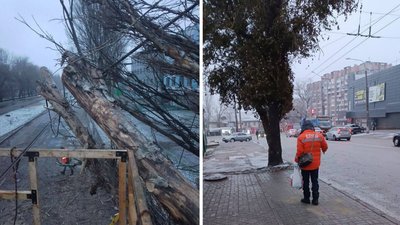 У Запоріжжі попадали дерева та місцями зникло світло — Анатолій Куртєв У Запоріжжі попадали дерева та місцями зникло світло — Анатолій Куртєв