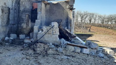 Працювали під обстрілами. На Миколаївщині протягом 2022 року зібрали майже 20 тисяч тонн винограду