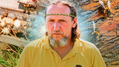 Пасіка, бджолярство, бджоли