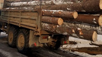 На Прикарпатті затримали вантажівки з незаконно зрубаною деревиною На Прикарпатті затримали вантажівки з незаконно зрубаною деревиною