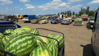 Ціна на кавуни Ціна на кавуни