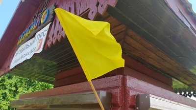 У воді на Теремнівських ставках у Луцьку знайшли кишкову паличку У воді на Теремнівських ставках у Луцьку знайшли кишкову паличку