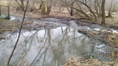 У Житомирі прорвало колектор водоканалу – неочищені стоки знову потрапили в річку У Житомирі прорвало колектор водоканалу – неочищені стоки знову потрапили в річку