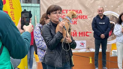 У Житомирі визначили переможців виставки безпородних собак "Мокрий ніс – 2021" У Житомирі визначили переможців виставки безпородних собак "Мокрий ніс – 2021"