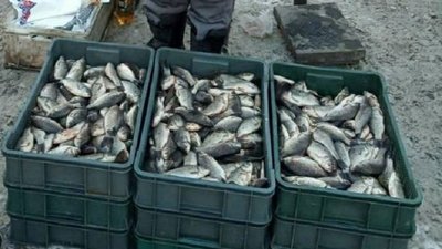 На Хмельниччині за один день рибоохоронний патруль зафіксував 14 порушень