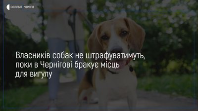 У Чернігові власників собак за вигул поки не штрафуватимуть – покарання за це не передбачено