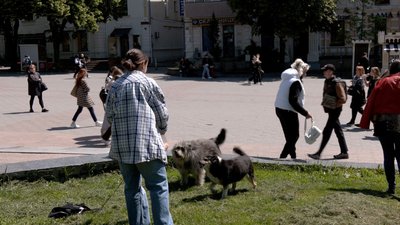 Постить фото й відео у соцмережі: вінничанка шукає господарів для безпритульних собак Постить фото й відео у соцмережі: вінничанка шукає господарів для безпритульних собак