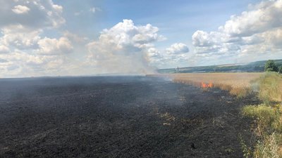 На Харківщині від обстрілу РФ згоріли 30 га пшениці