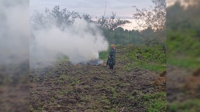 Виявлення спалення сухої трави на Рівненщині