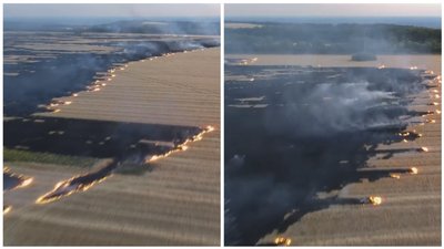 На Донеччині ліквідували пожежу біля заповідника "Крейдова флора"