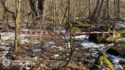 У лісі в Києві виявили нездетоновану бойову частину російського безпілотника